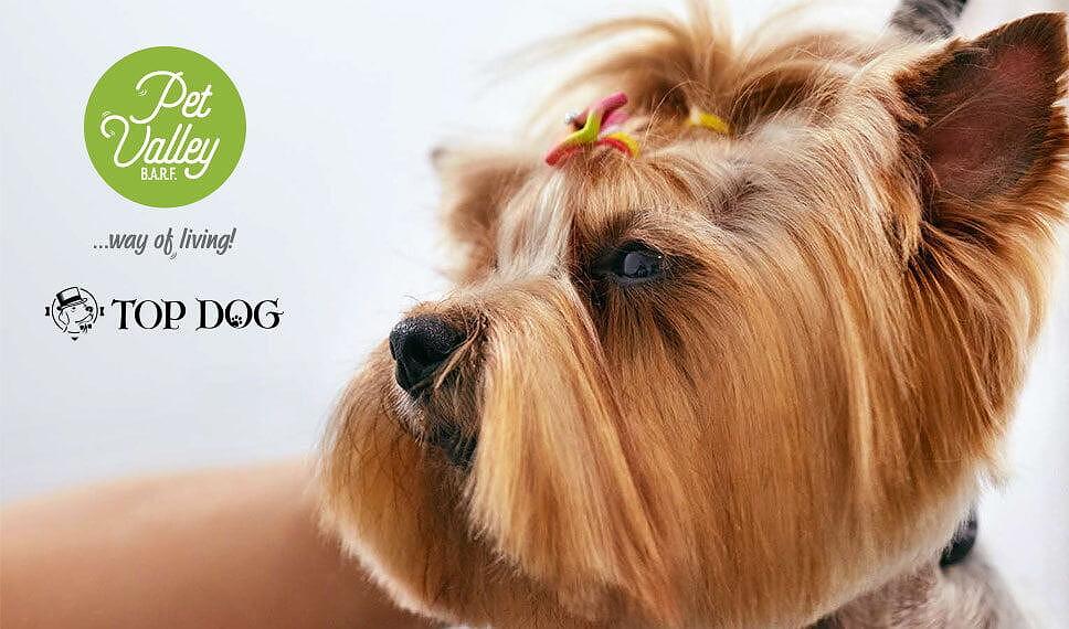 АКТИВНИ СЪСТАВКИ ОТ РАСТИТЕЛЕН ПРОИЗХОД И ЕТЕРИЧНИ МАСЛА В TOP DOG PRODUCTS - Pet Valley