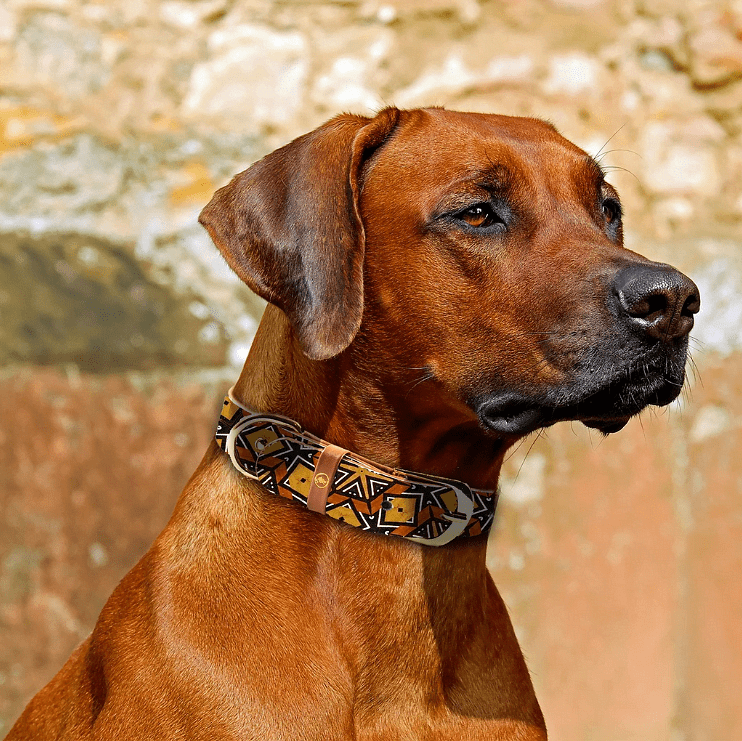 ARGUS Нашийник и Гривна – The “Bogolan” - Pet Valley